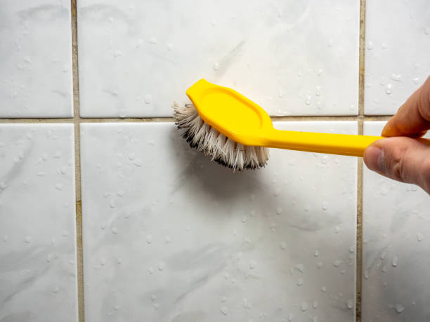 Best Mold Removal Company Near Me  in East Merrimack, NH