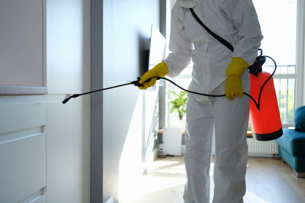 Best Mold Cleaning Services  in East Merrimack, NH