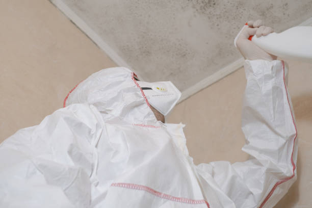 Best Office Mold Removal Services  in East Merrimack, NH